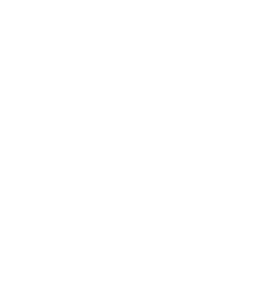 Bear Auto White Standard